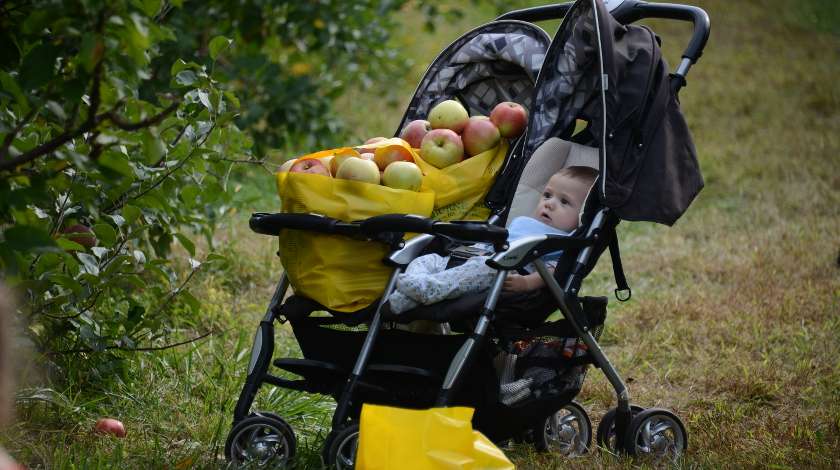 Picking Apples jchessma Flickr