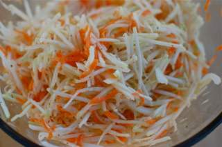 kohlrabi slaw web