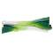 Leek