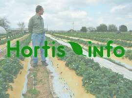 Hortis agronomist background