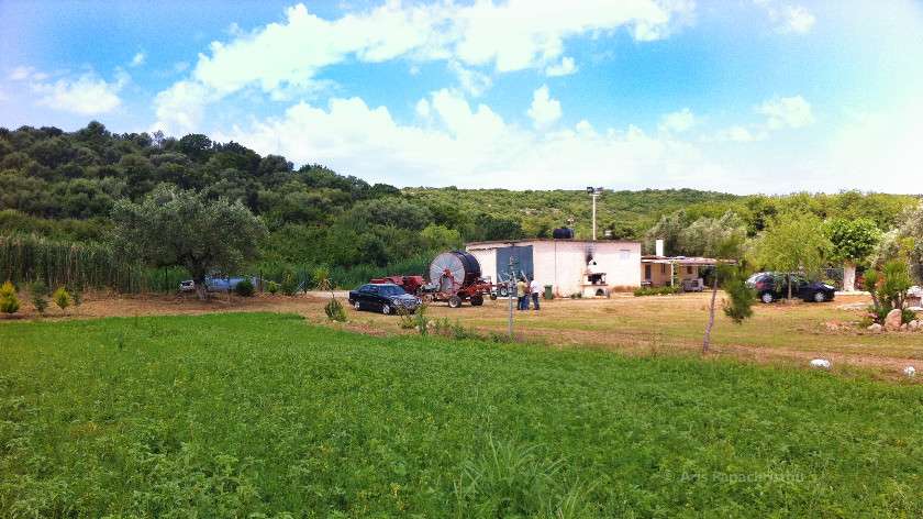 Γεωργία 2012 06 05 12 09