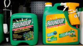 Roundup glyphosate